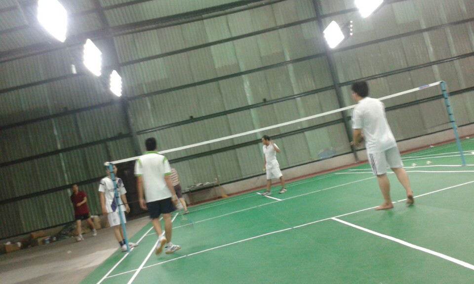 sàn vinyl cầu lông