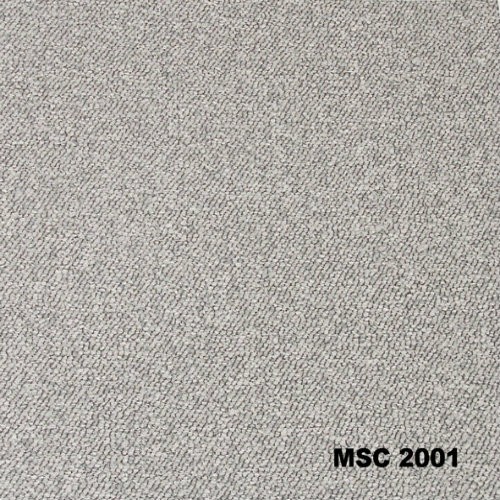 MSC 2001