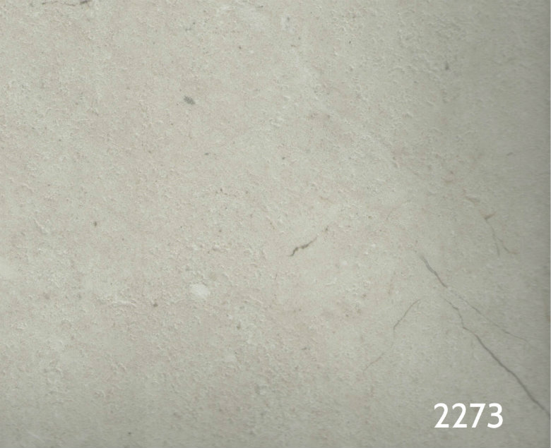 sàn nhựa deluxe 2273