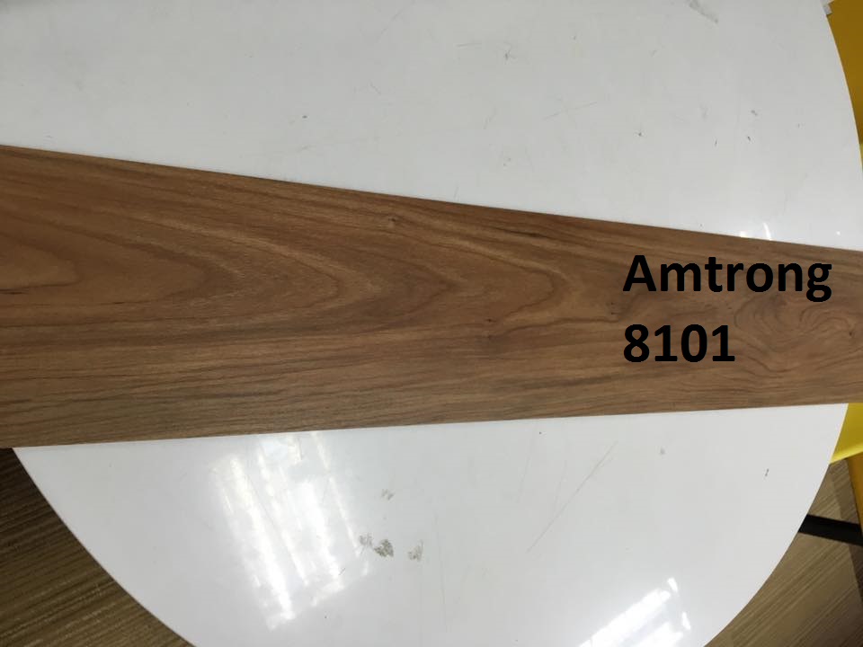 Sàn nhựa Amstrong 8101