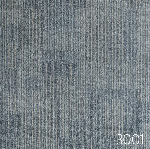 3001